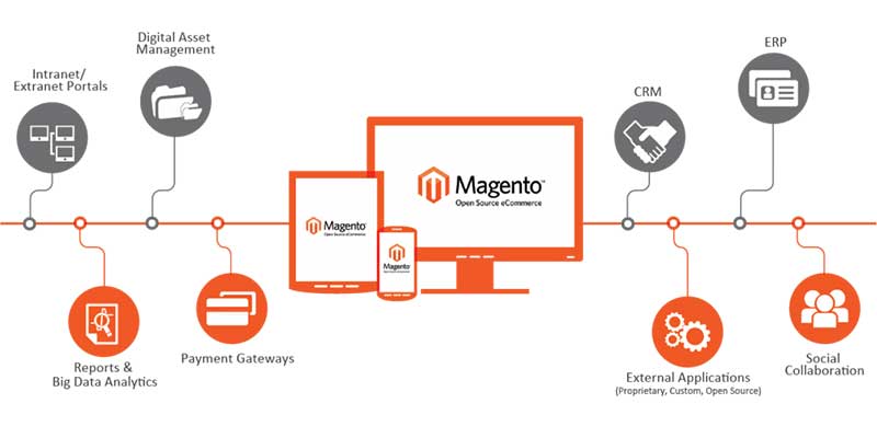 Choosing Right Magento Platform For online store