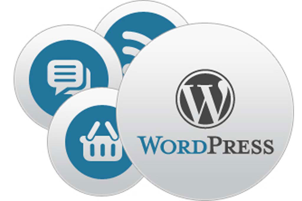 WordPress Web Design Company Guide: 6 Things You Need To Know