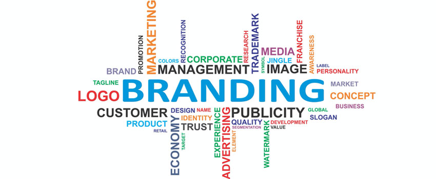 Branding Agency | Cfactory